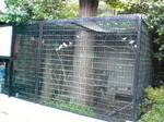 080604_1837~02_0001.jpg